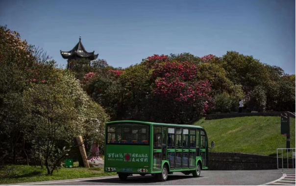 百里杜鵑觀光車(chē)案例圖片