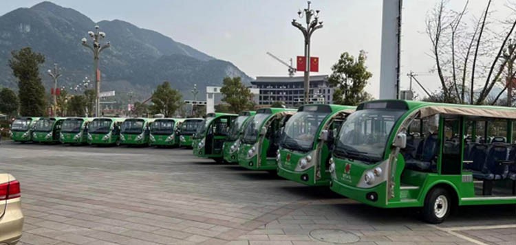 百里杜鵑觀光車(chē)案例圖片