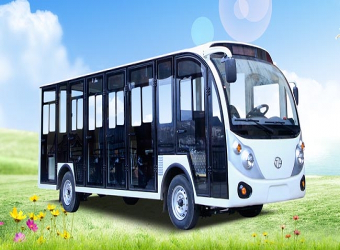 電動(dòng)觀光車(chē)